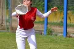 41