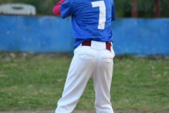 241