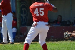 44