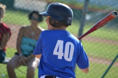 53
