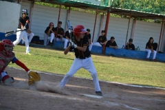 41