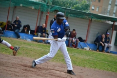 81